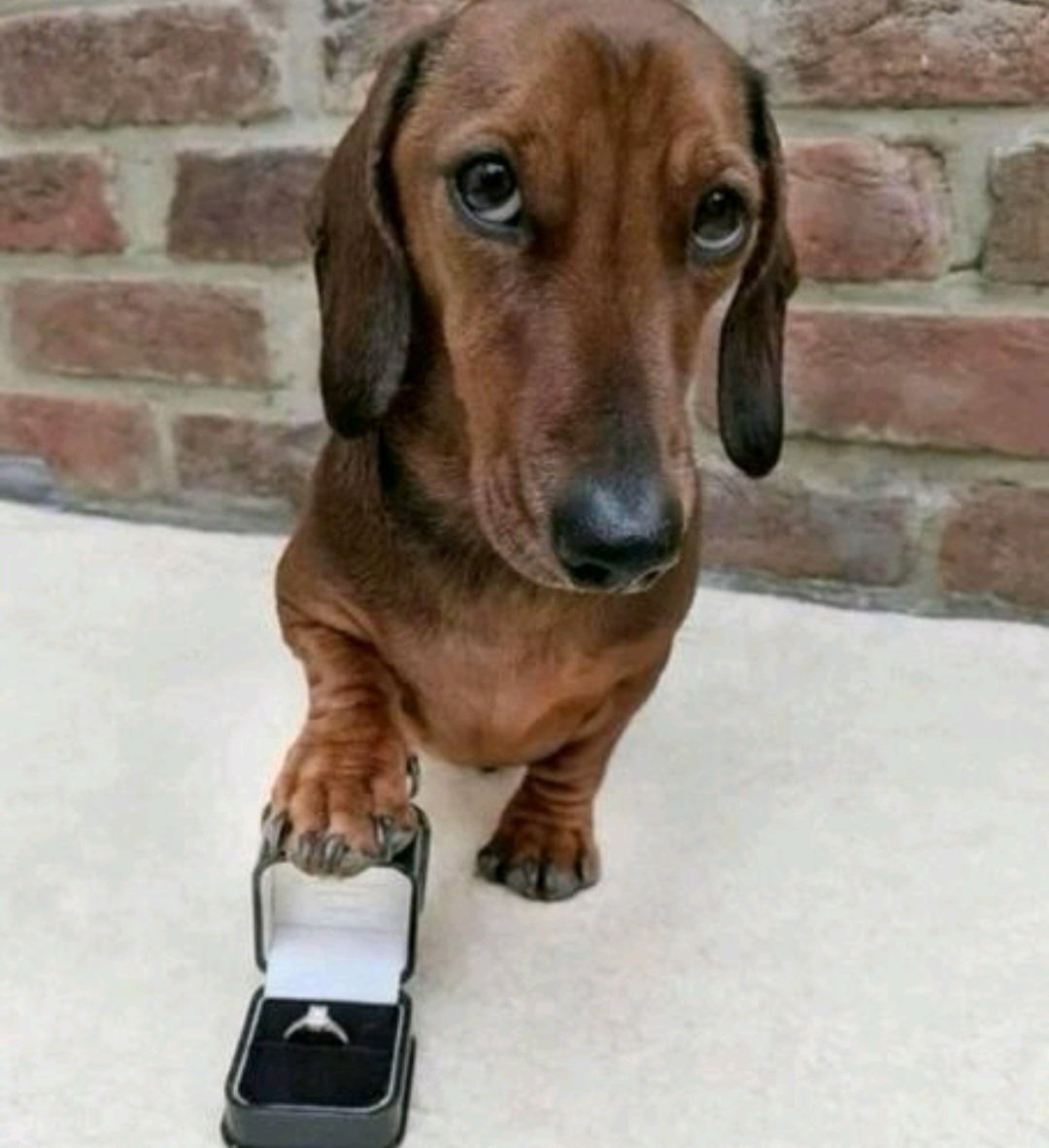 Jaymie Chris tweet media