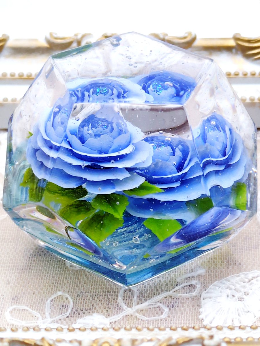 美しい青薔薇ちゃんが咲き誇っている(´✪ω✪`) 個人的に薔薇ちゃんだと