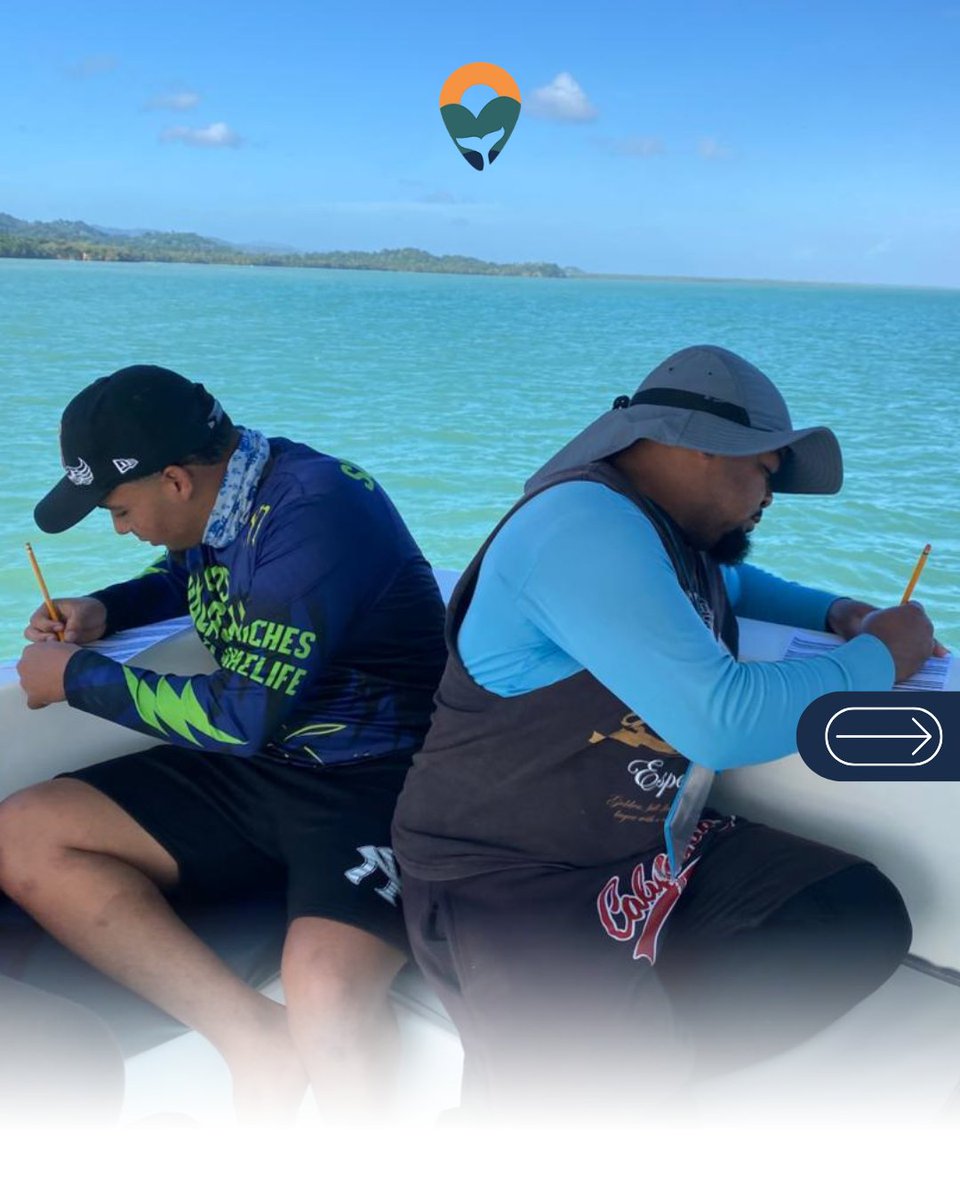 PROMICHES tweet media