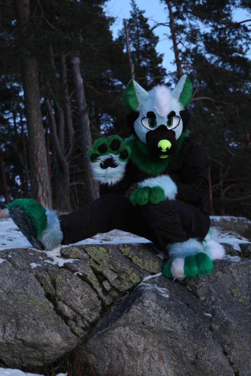 kuula70's tweet photo. Guysss its fursuit fridayyy :33
#fursuit #FursuitFriday #furry https://t.co/2wZGScckQX