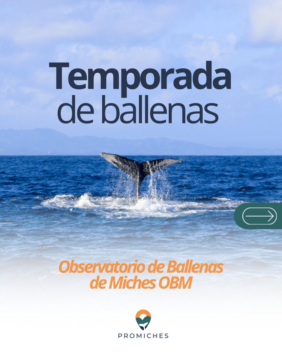 PROMICHES tweet media