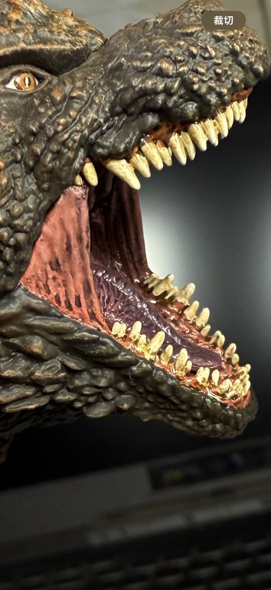 なーさん (@Na185_Dragon) / Posts / X