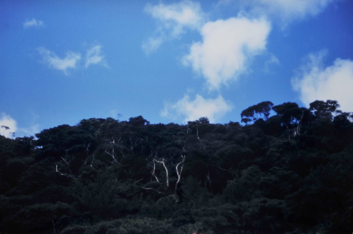 「時田大輔 写真展 2026 Light life of the view」　

明日までです。

(2026.2.2mon-7sat  11:30-18:30)