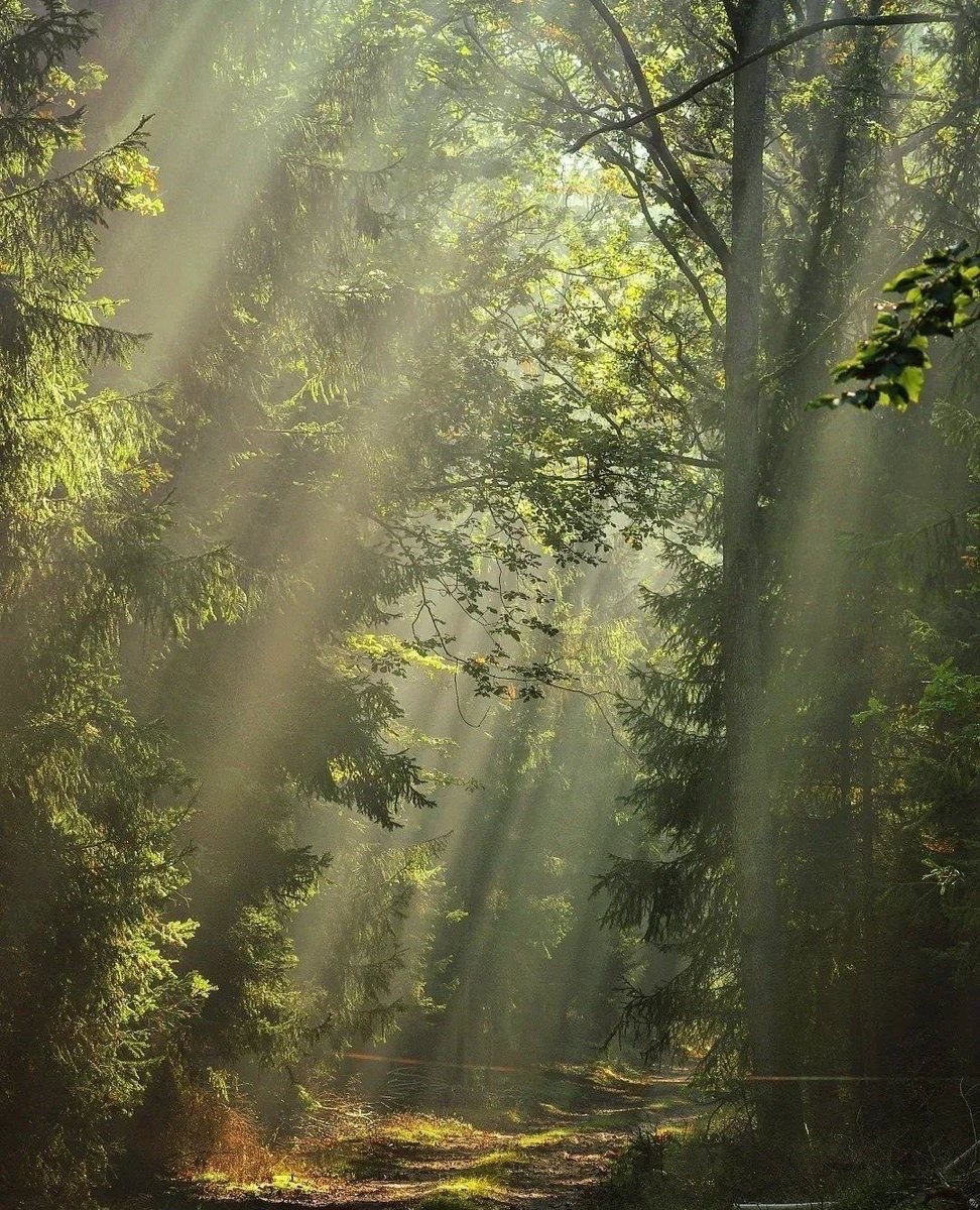 earthcurated's tweet image. Post a picture YOU took. Just a pic. No description.