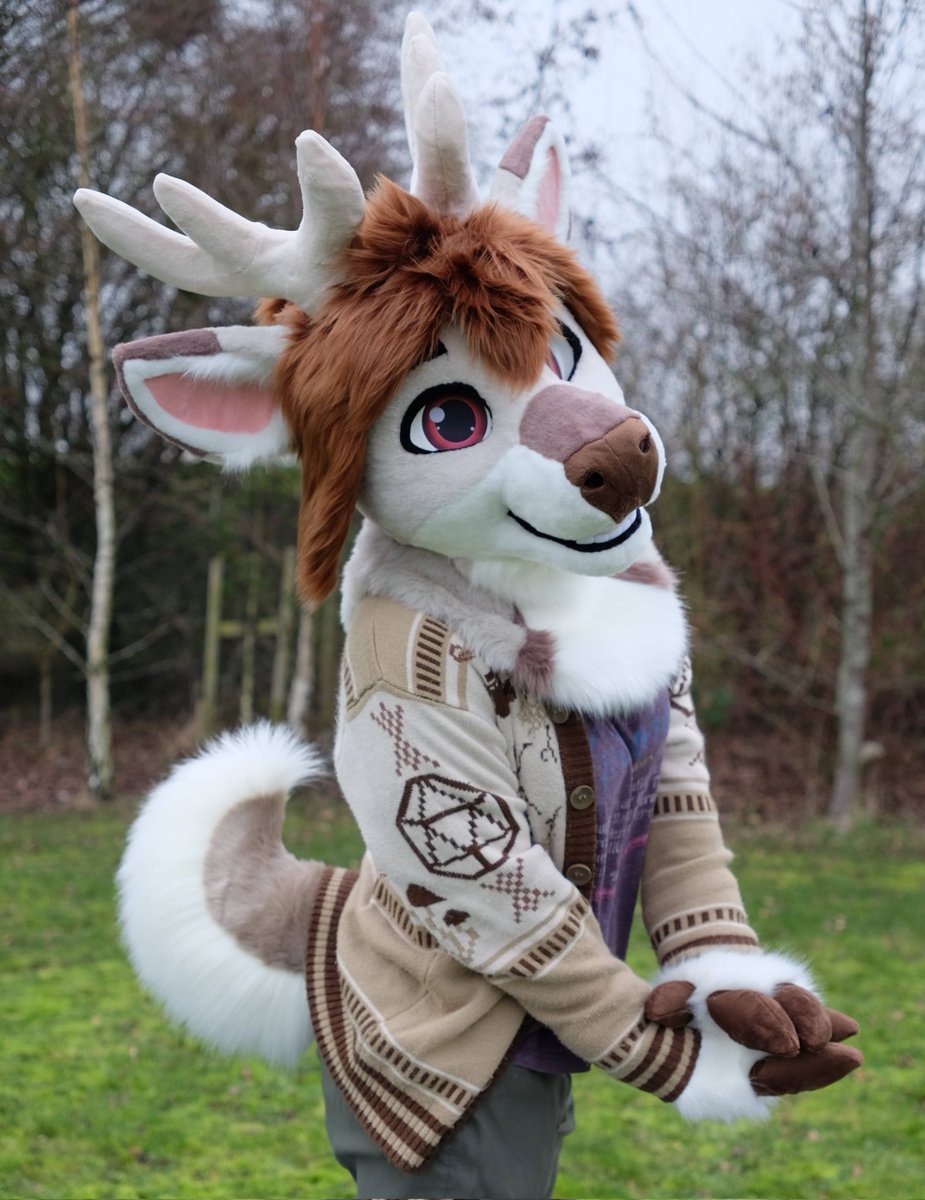 Go Fur It tweet media