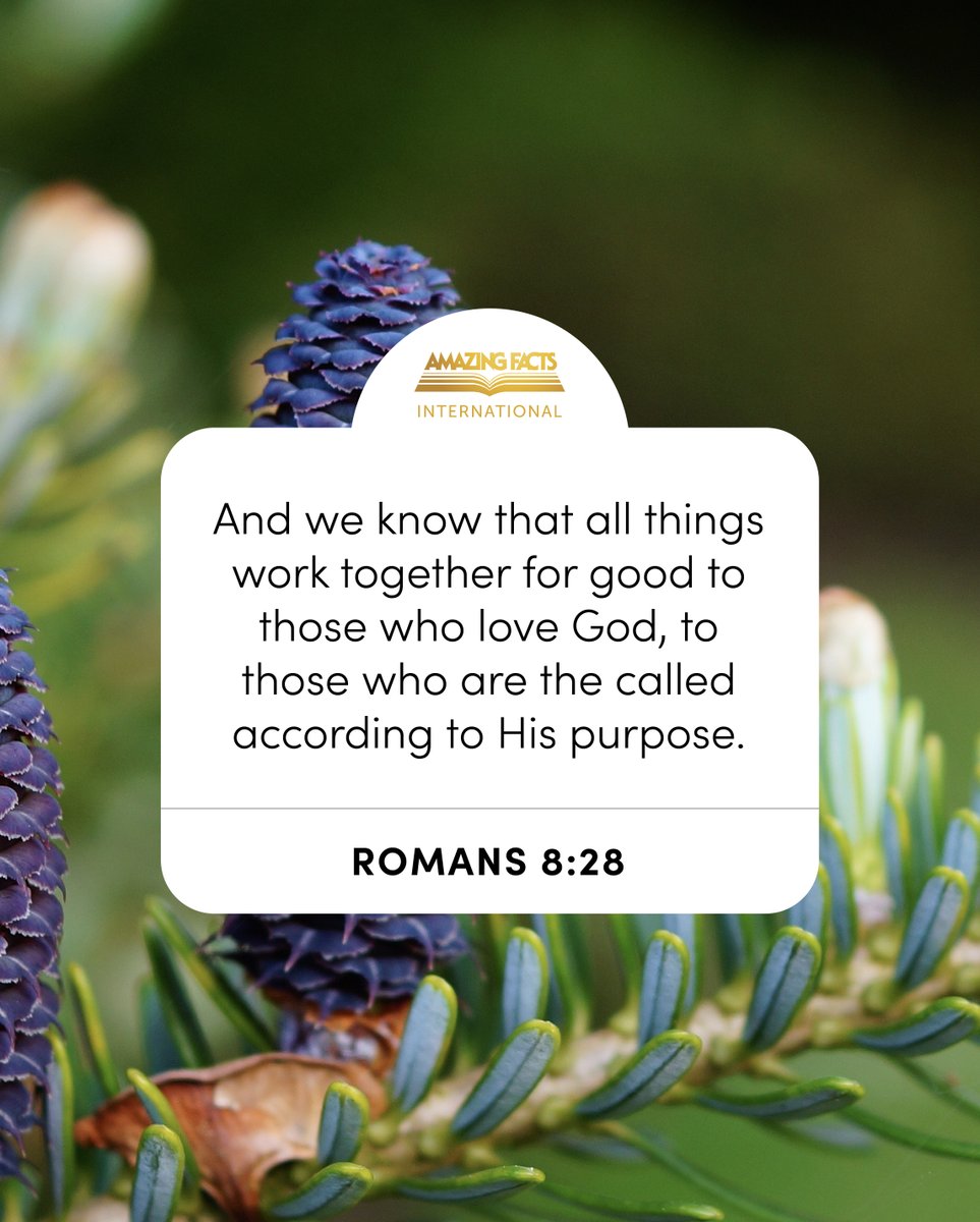 Amazing Facts tweet media