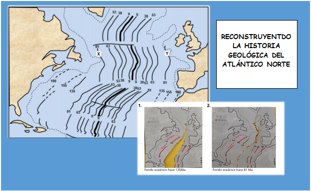 Proyecto Simbiosis🧬🌎👨🏫👩🏫 tweet media