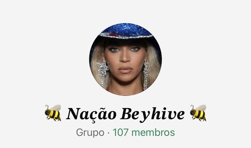 Nação Beyhive 🐝 (@beyhive_nacao) / Posts / X