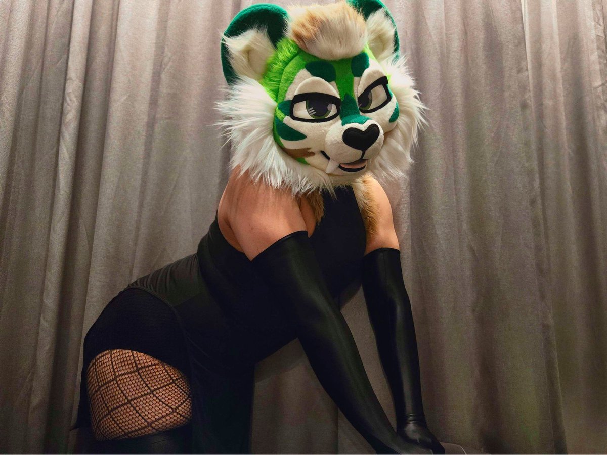 jay 🇹🇭 🔜 Thaitails, LVFC tweet media