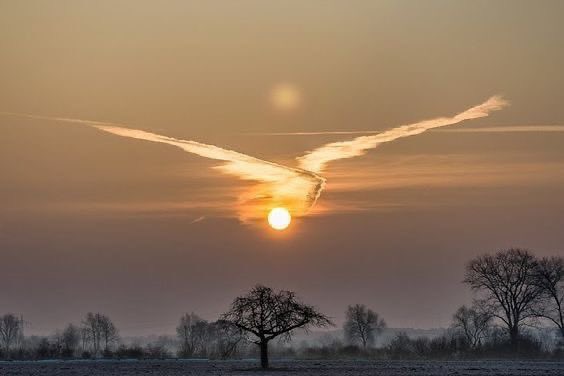 いいねした人全員
明日までに信じられないような
嬉しい奇跡が降り注ぎます✨