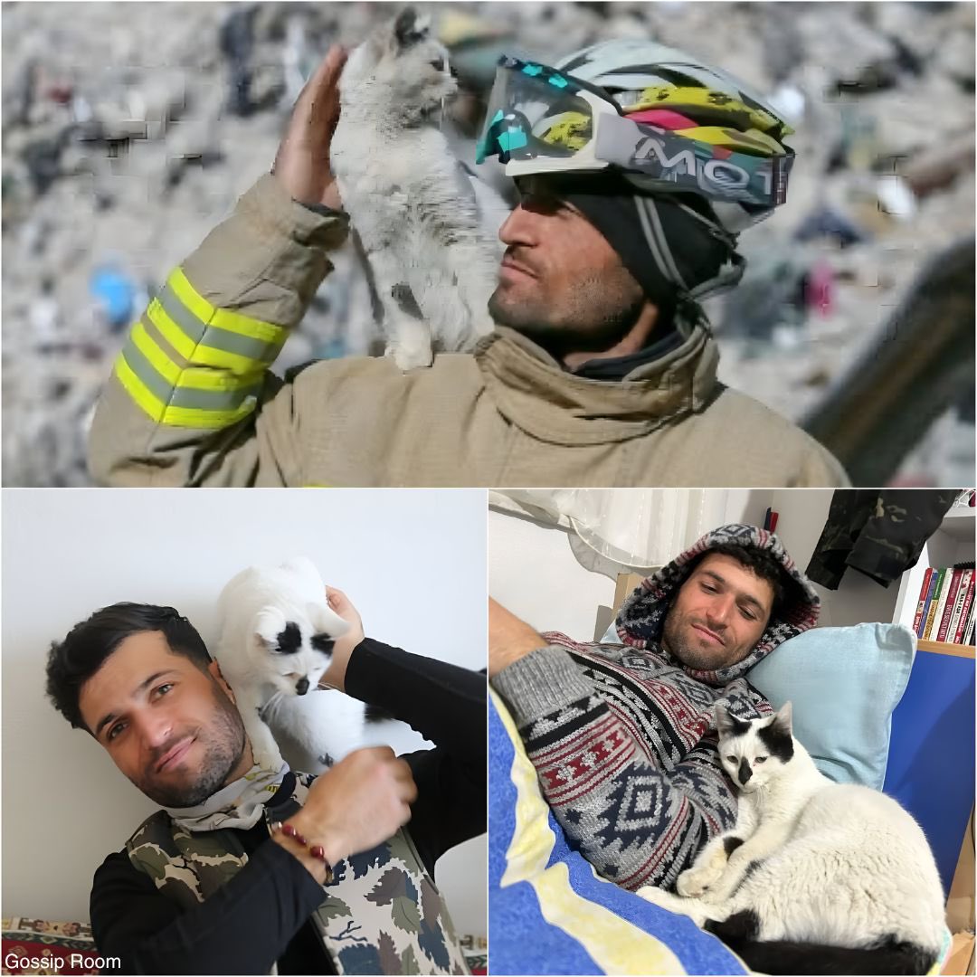 GOSSIP ROOM tweet media