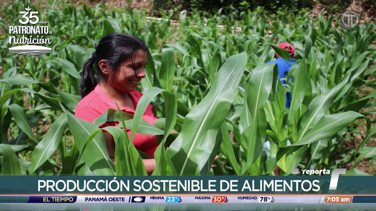 “El alcance es amplio. Estimamos que por lo menos impactamos la vida de 5 mil personas, porque son las personas que forman parte de la granja, en distintos casos cuando son programas escolares también se le dan los alimentos a los niños, incluso en la temporada de vacaciones,