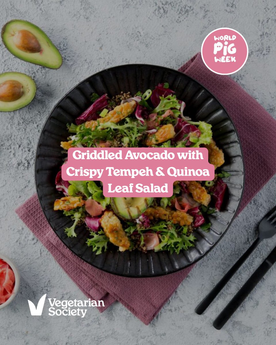 vegsoc's tweet photo. Fresh, filling, and full of flavour. 🥑🌿

👉 Find this recipe and more in our FREE digital #WorldPigWeek booklet, featuring pig facts, veggie &amp; vegan recipes, and rescue stories: https://t.co/lDyXEhNj2n https://t.co/tpGyNgc7Ym