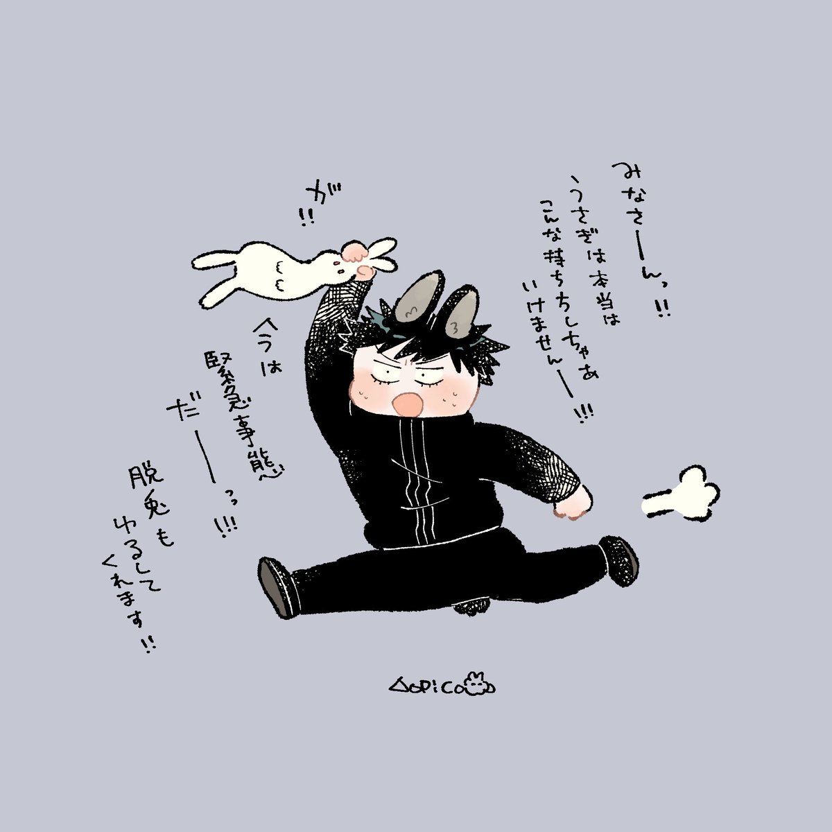 うさめぐのうさぎ持ち方講座🐇 