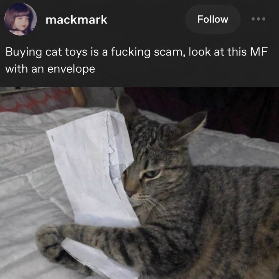 Looking at both, I would've thought the white cat was the AI one... but I checked the tumblr accounts and "mackmark" isn't an existing user while Splicky is.