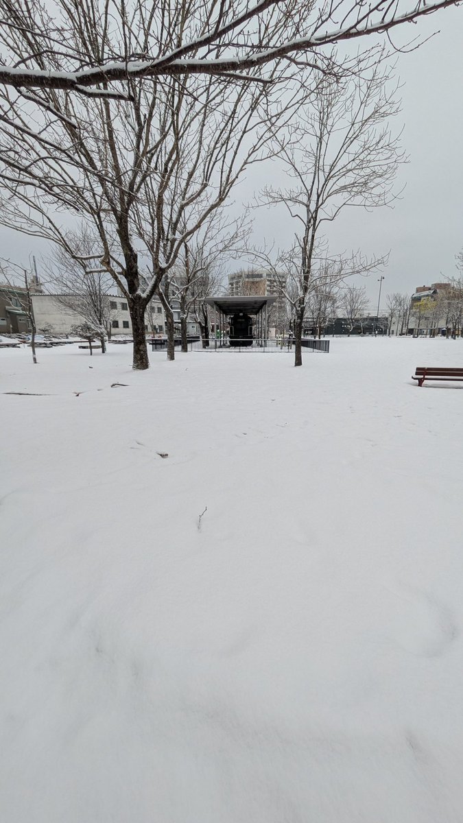 tktt's tweet image. 雪の中のシゴハチ（C58）106号車。