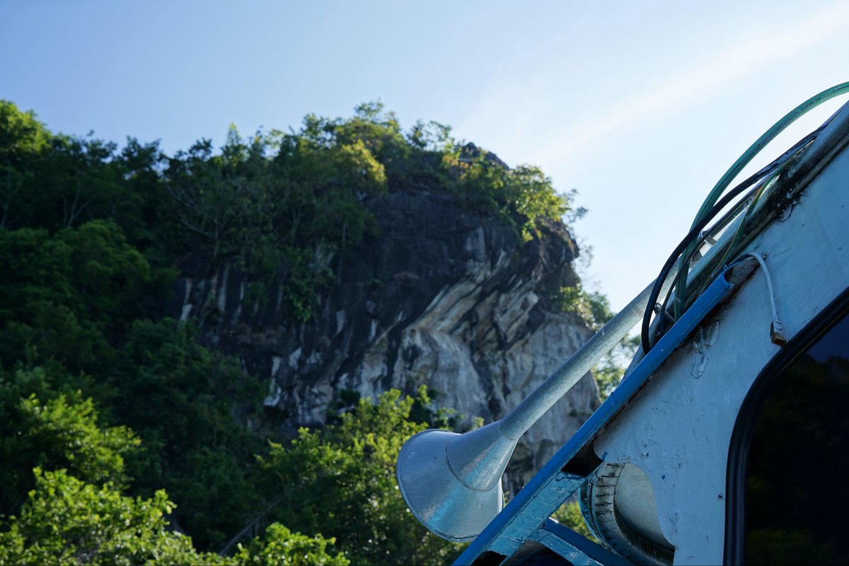 elsevier tweet media