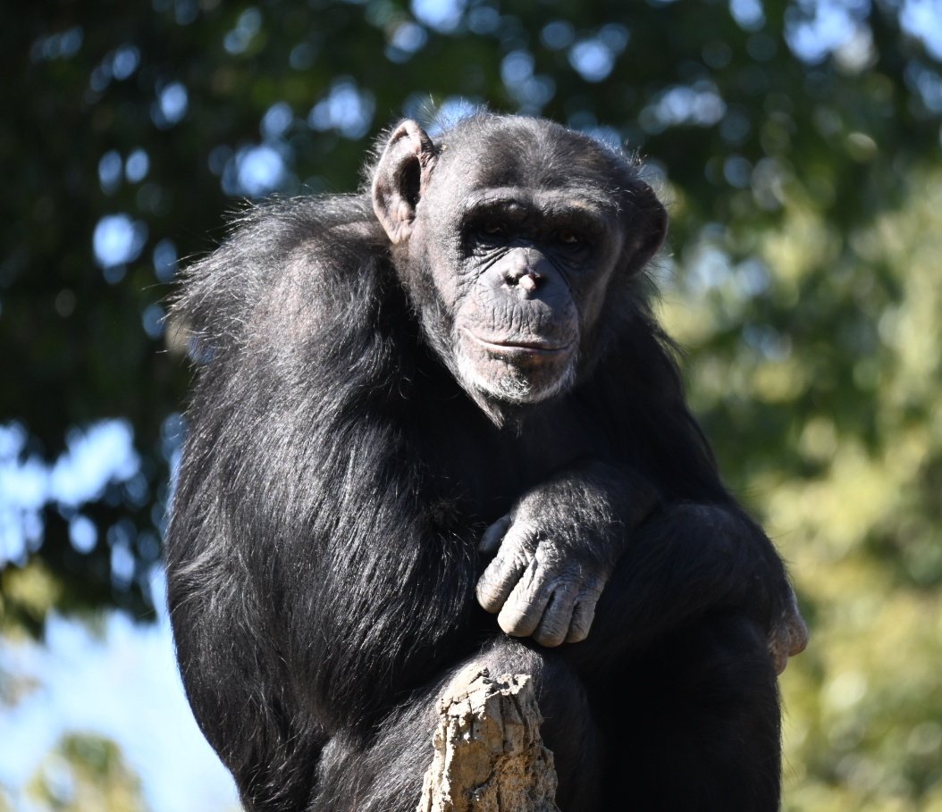 ゴウちゃん お誕生日おめでとうだよ👏 群れで…色々あるけど いっぱい