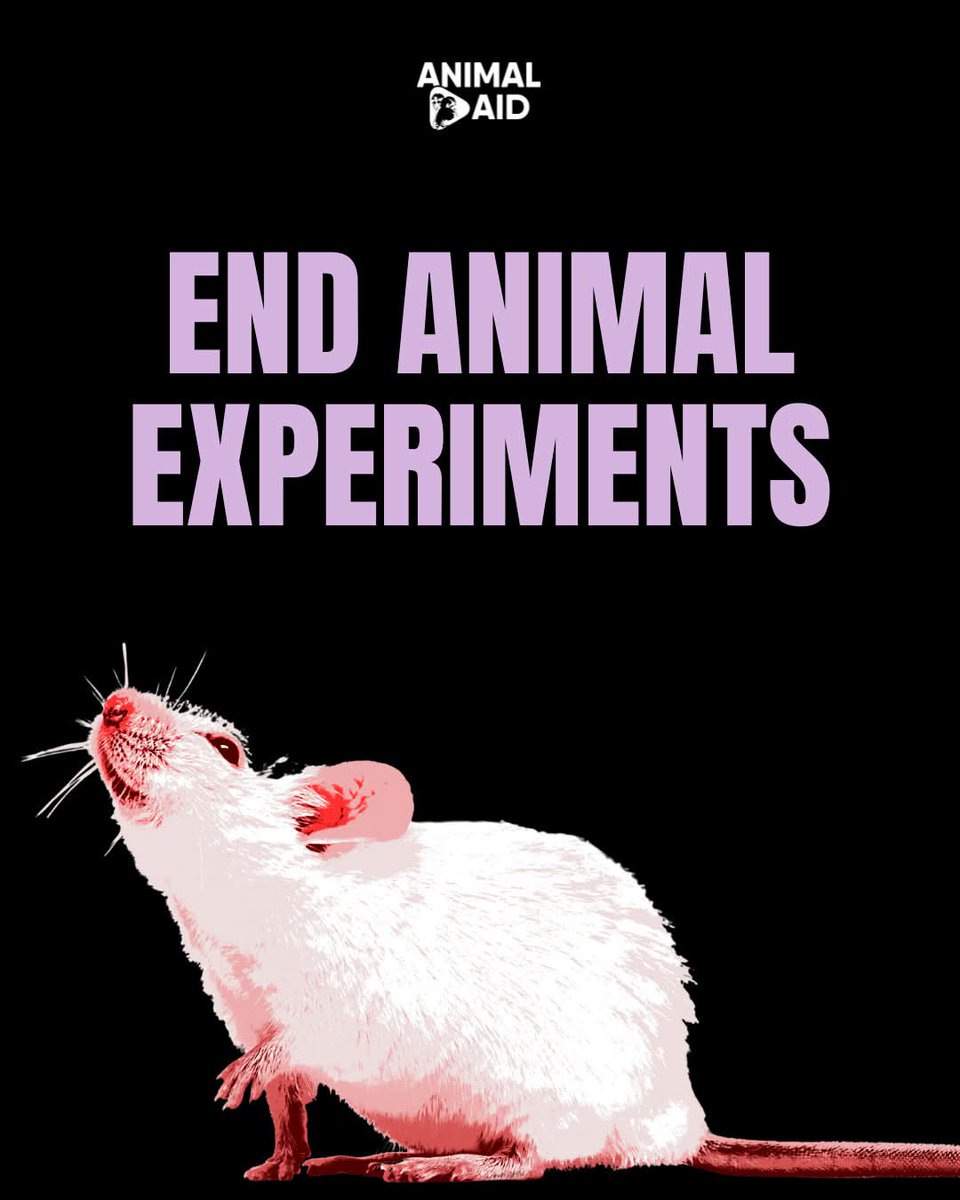 Dervilla(v) (@derviemoo) on Twitter photo 