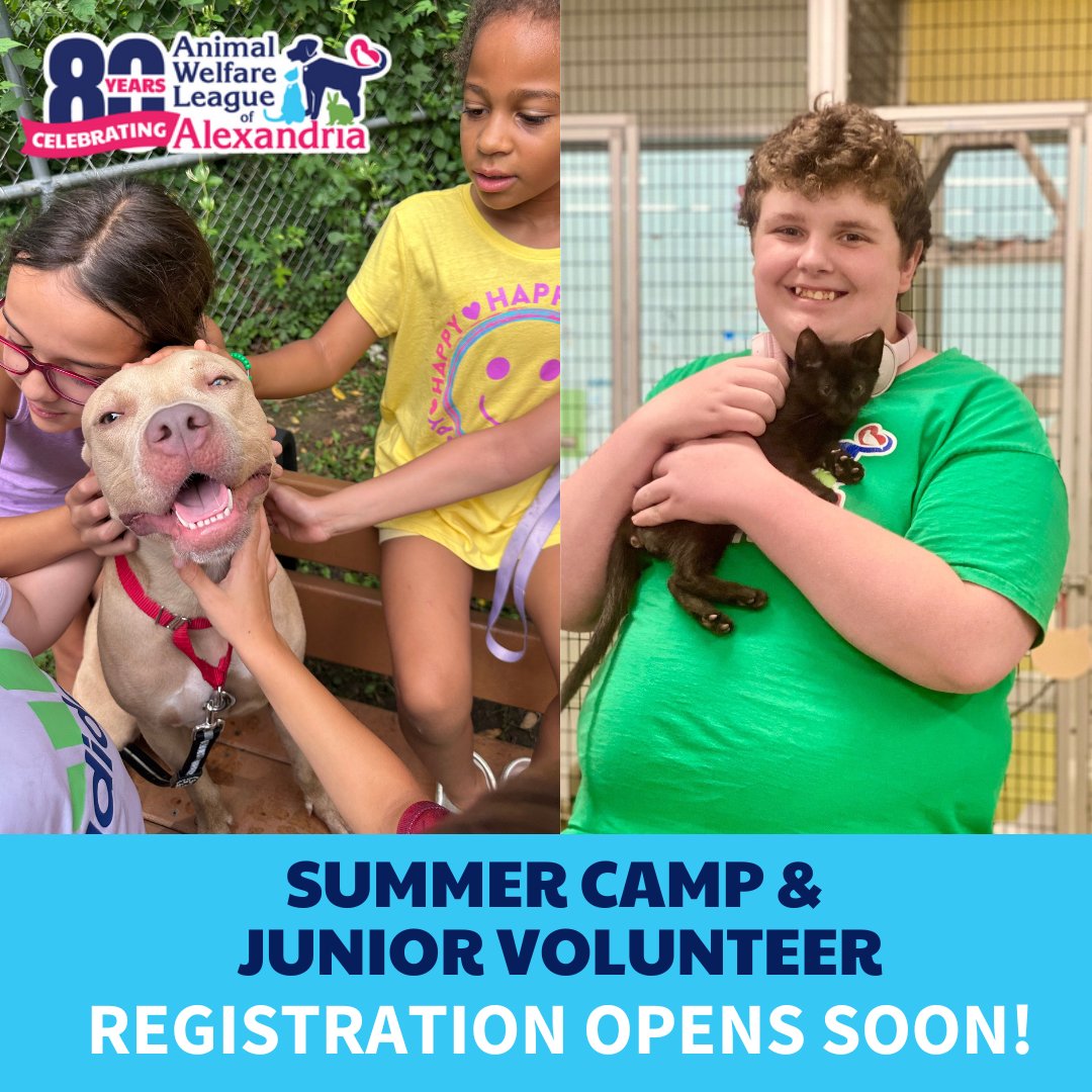 AWLA Alexandria tweet media