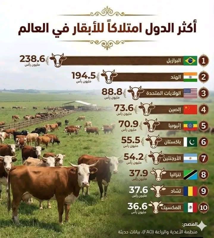 古库尼 🇹🇩 tweet media