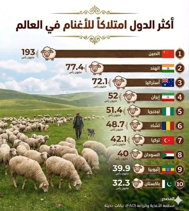 古库尼 🇹🇩 tweet media