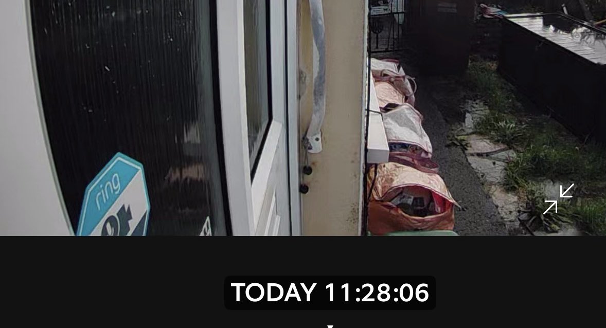 ☮️✊🏿🚺♿️🏳️‍🌈🌏 tweet media