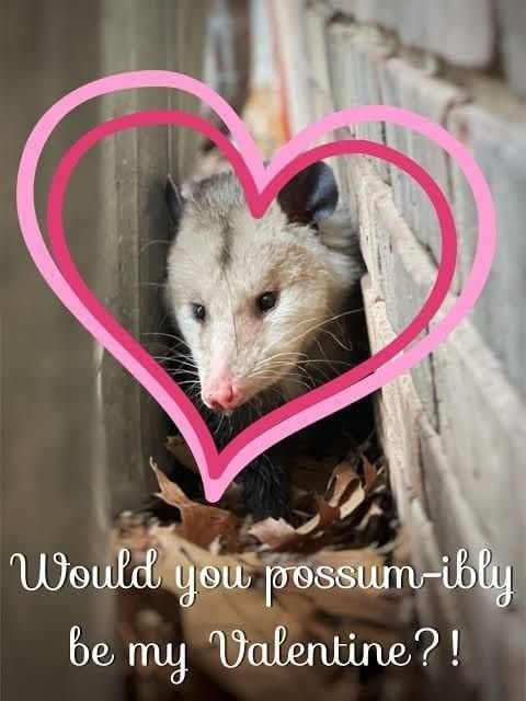 Snaggletooth Screamer (@deathposs) on Twitter photo 