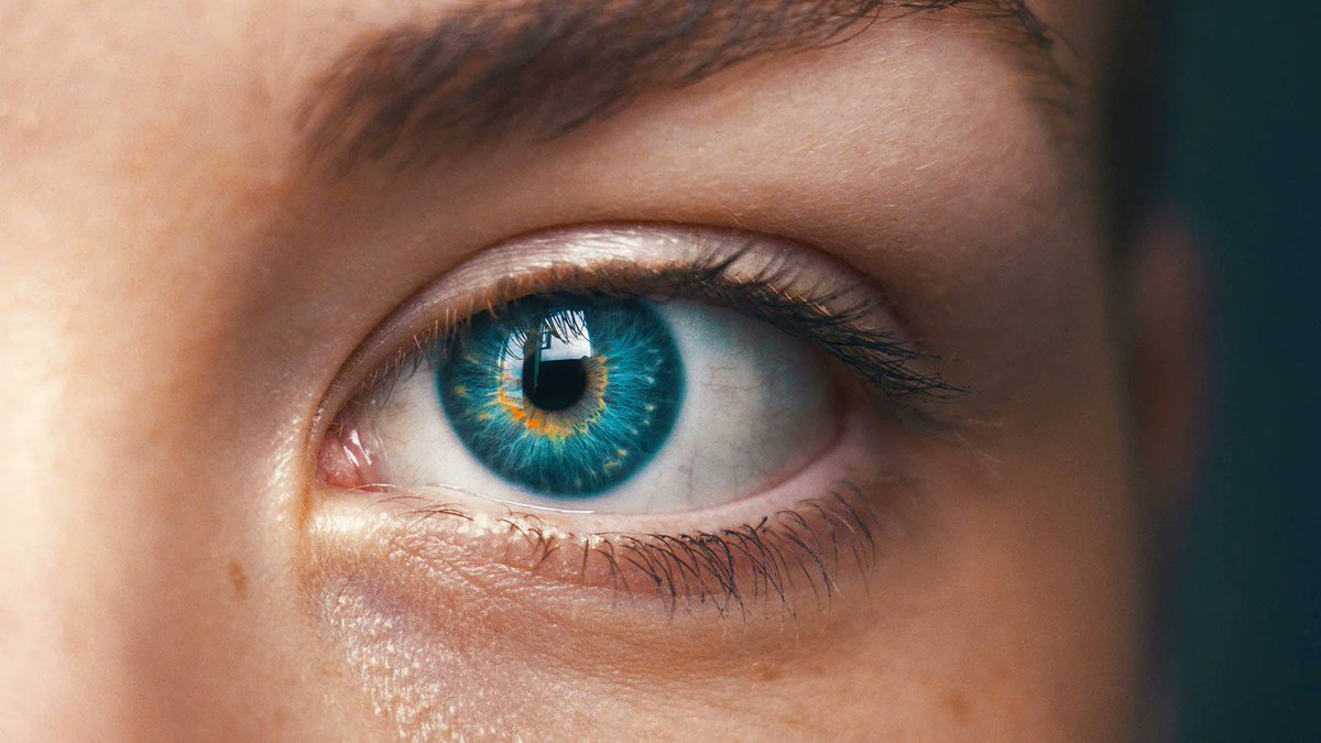 ViteyesUK's tweet photo. 💚 Keep Your Eyes in Focus This Season!

This month, support your eyes with hydration, colorful foods, and antioxidant-rich nutrition. 
With just a few mindful habits, you can help your eyes stay comfortable, healthy, and ready to take in every beautiful view the season brings. https://t.co/KnZmyG31h0