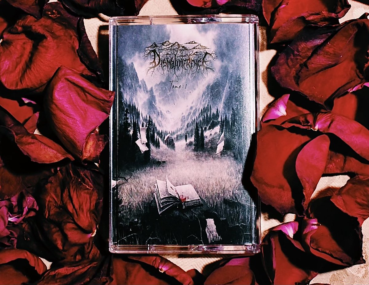 Dismalimerence tweet media