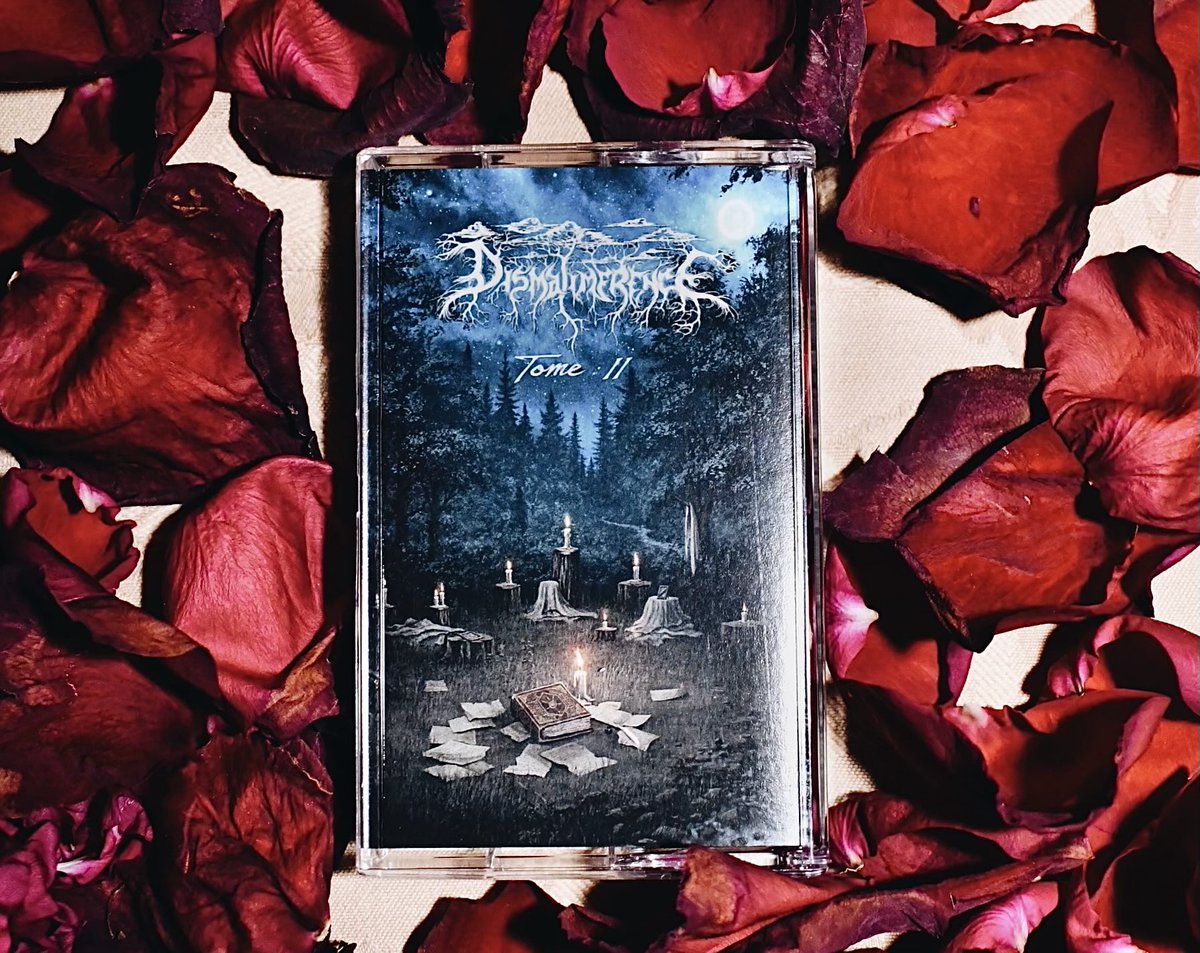 Dismalimerence tweet media