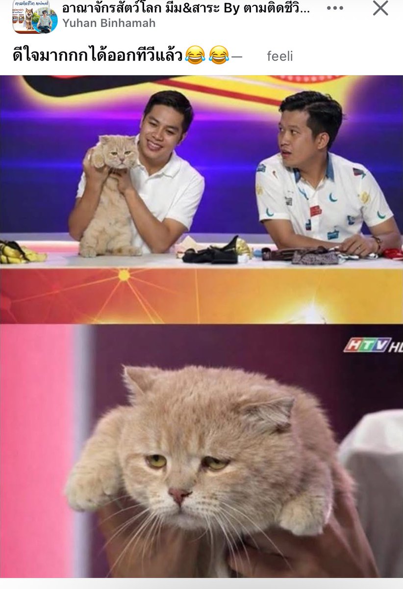 ดีใจจริงมั้ย ดูทำหน้า