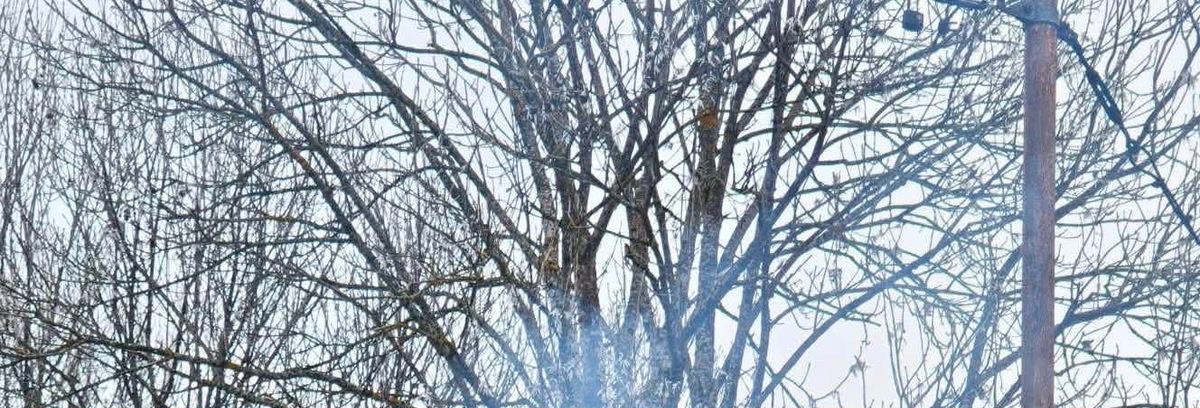 NoCatsNoLife_m's tweet image. Stray cats sharing the chimney's warmth