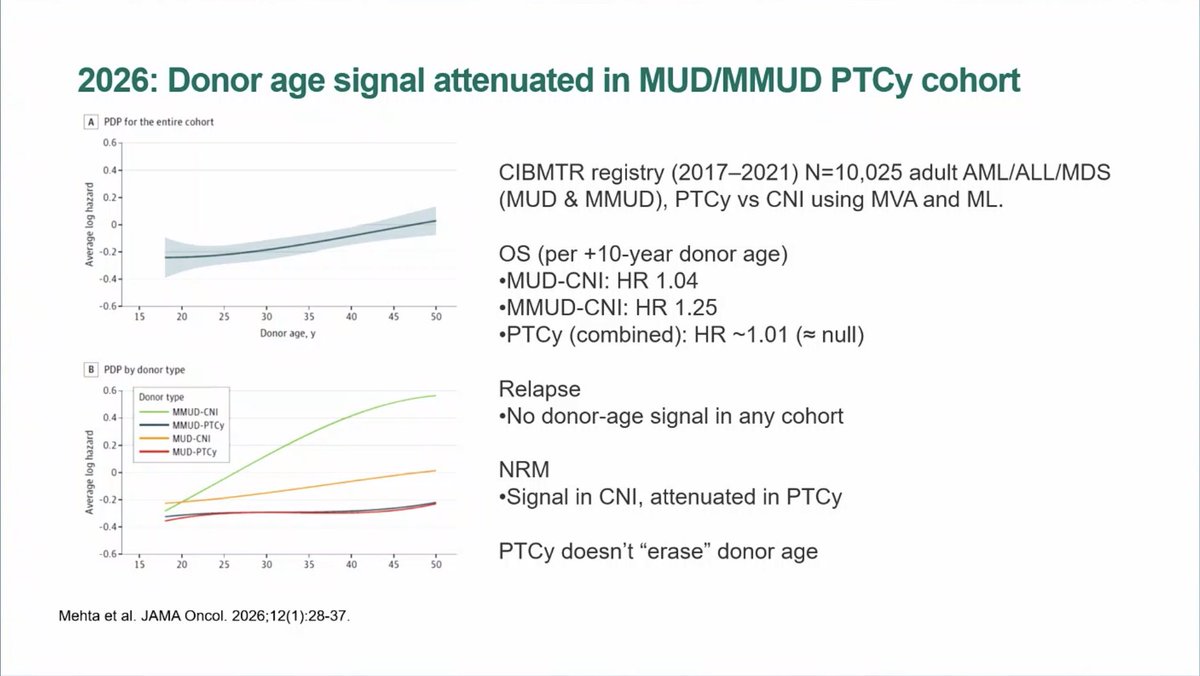 Daniel Peters tweet media