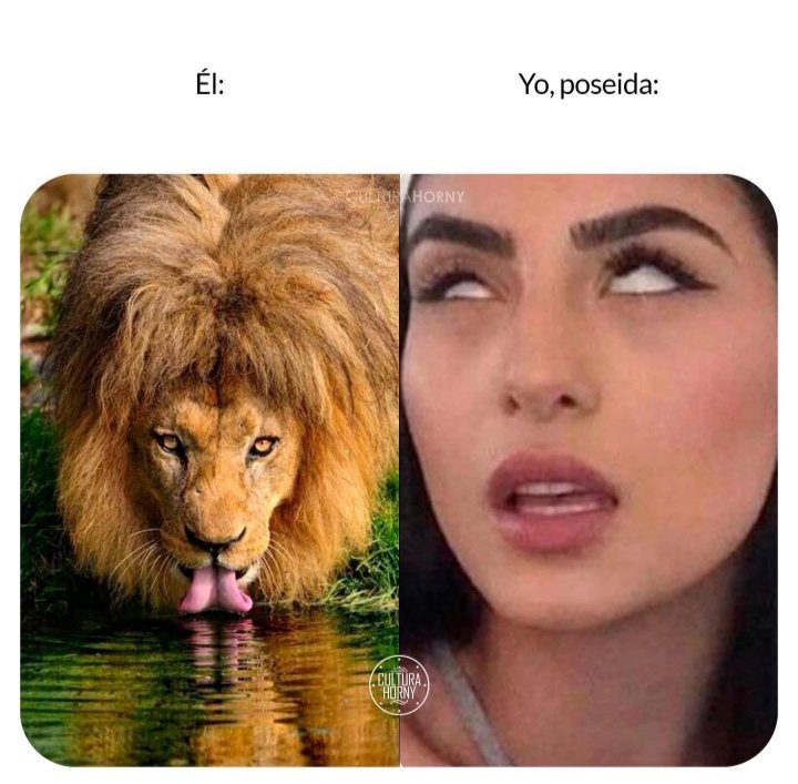 Cynthia 💫🎀🧸💜 tweet media