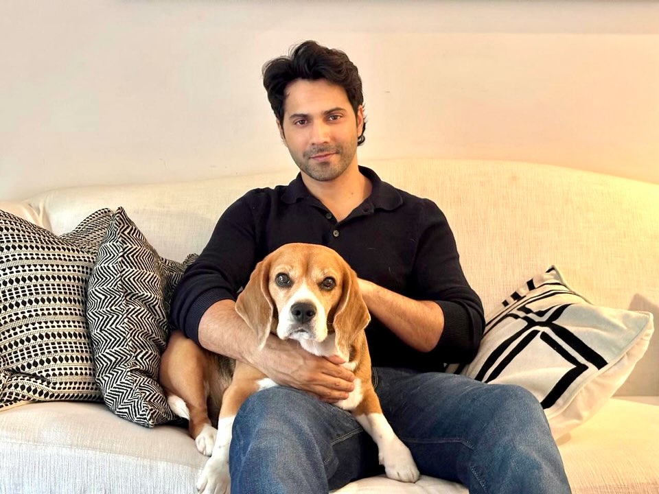 AnujUnknown's tweet image. Varun Dhawan with Joey Dhawan🫶 @Varun_dvn #VarunDhawan #JoeyDhawan #DogDad