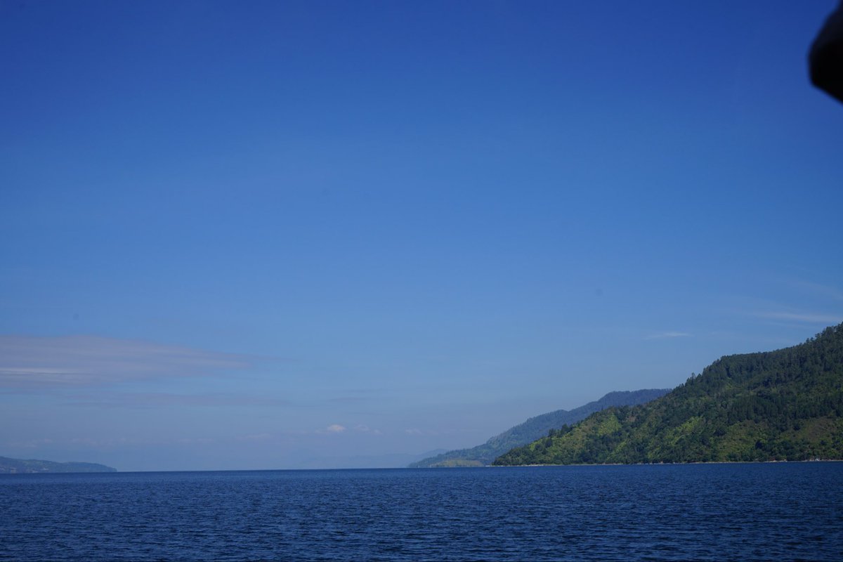 elsevier tweet media