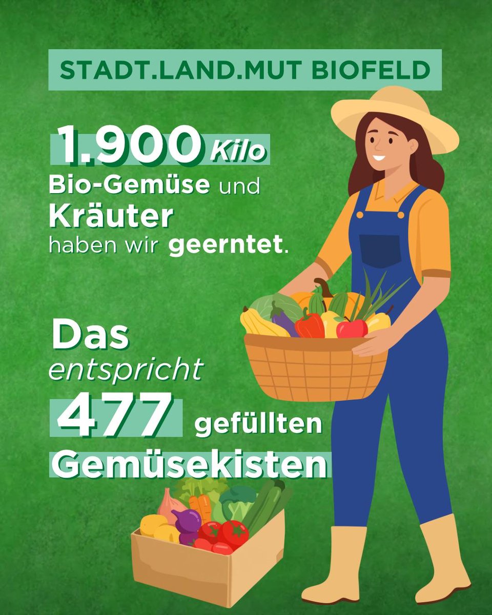 Verein MUT tweet media