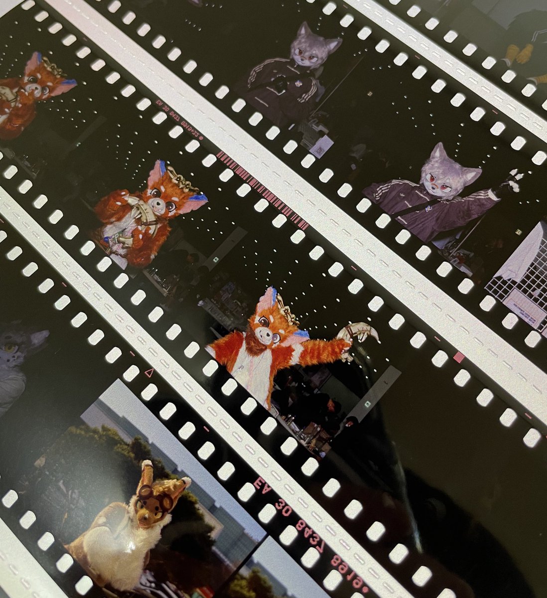 낙타표 駱駝印 tweet media