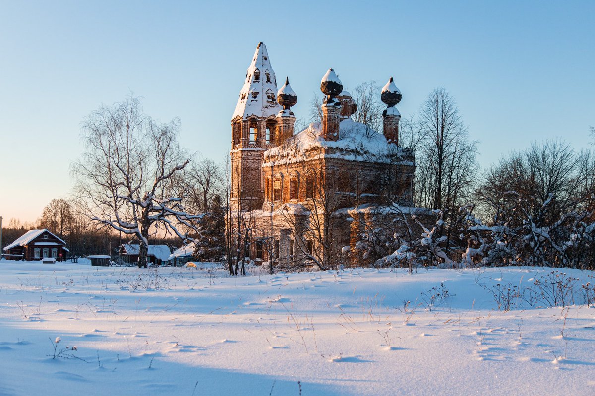 Амбассадор счастья tweet media