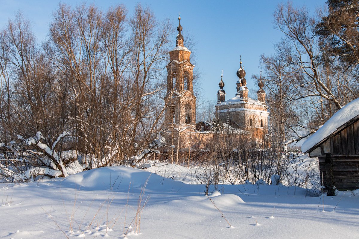 Амбассадор счастья tweet media