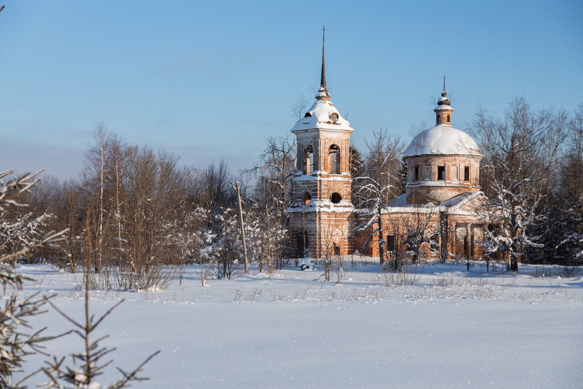 Амбассадор счастья tweet media
