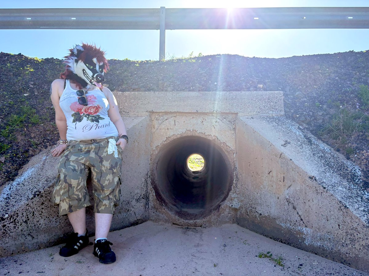 🐾 Jerm 🦠 tweet media