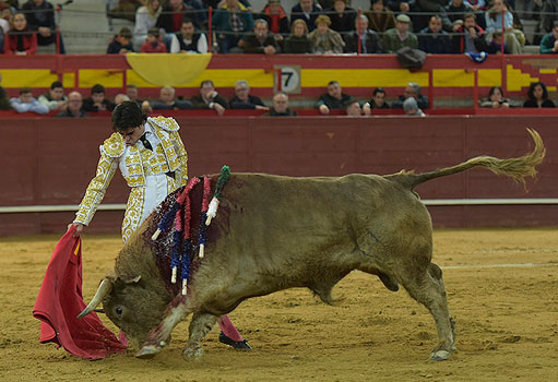 MigueldePabloficial tweet media