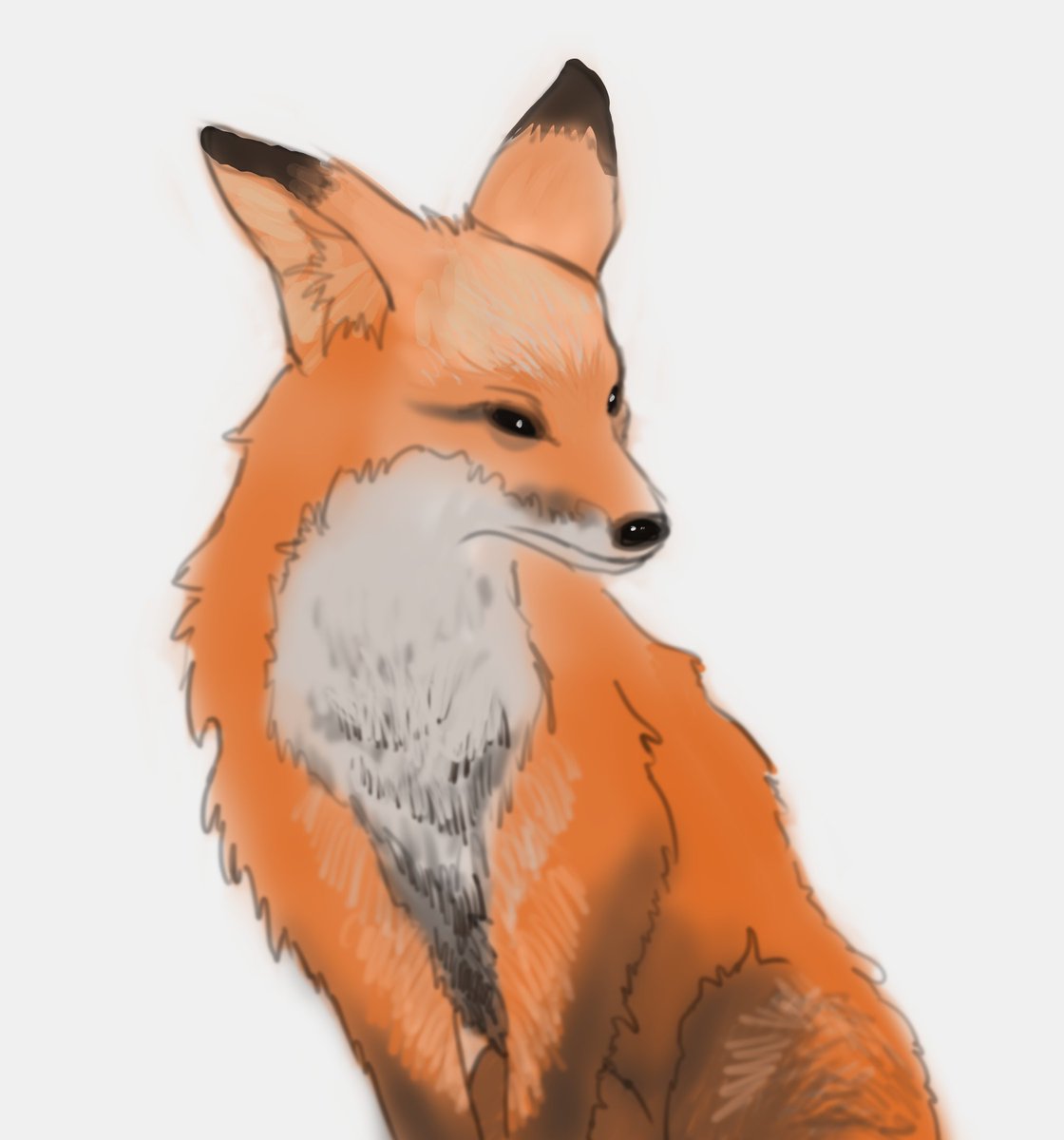 ryutororotoro's tweet photo. little #sketch https://t.co/lMDoFXKCDB