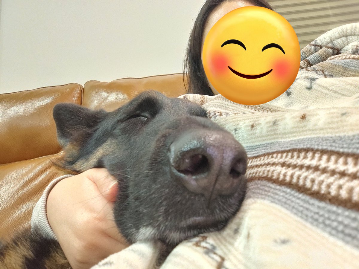 ママの手を枕にしてる。かわいい