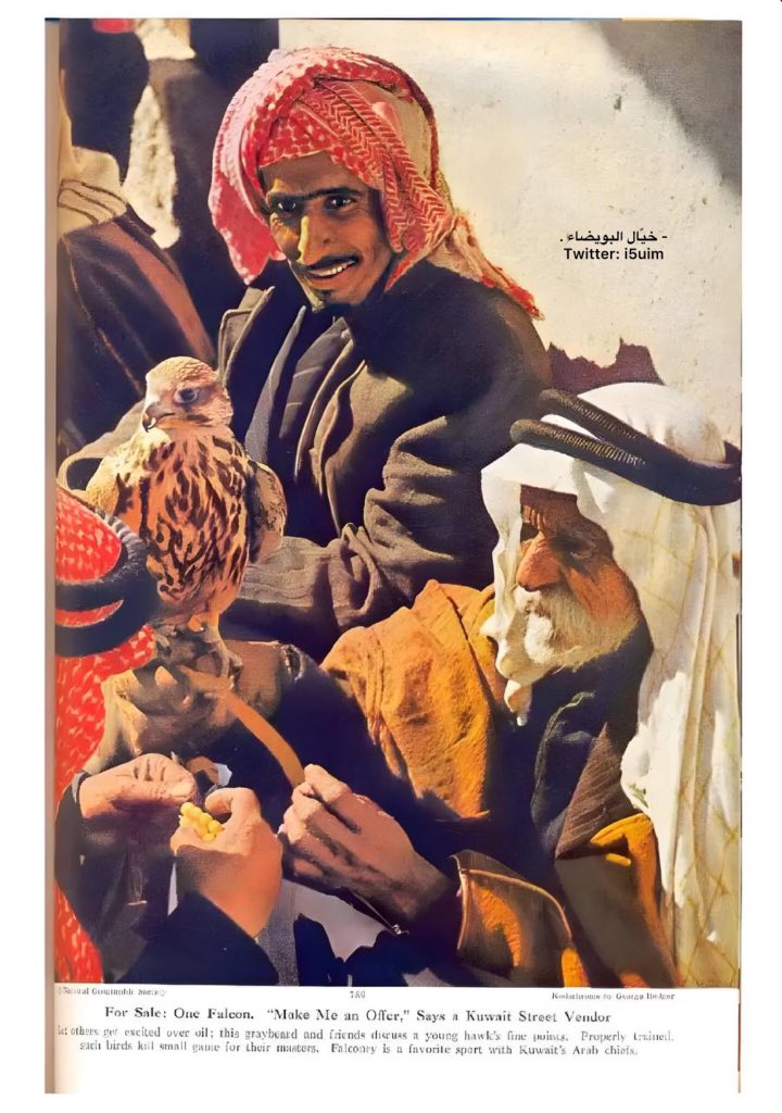 - خيّال البويضاء . tweet media