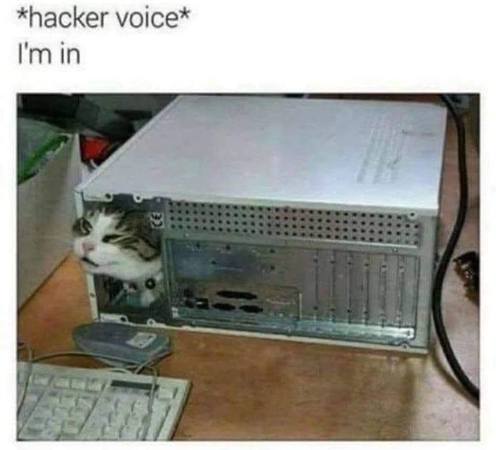 ShadowHopper tweet media