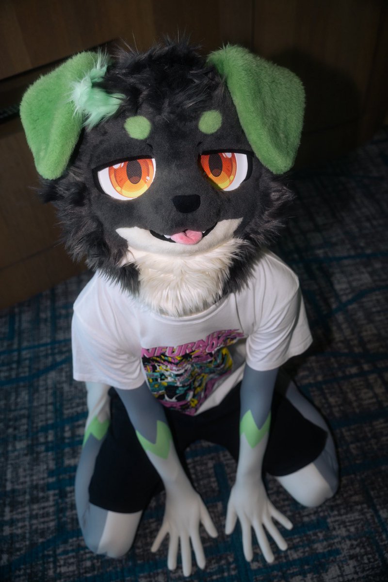 グリーフ🔜Furryteaparty (@gleaf_vrc) / Posts / X