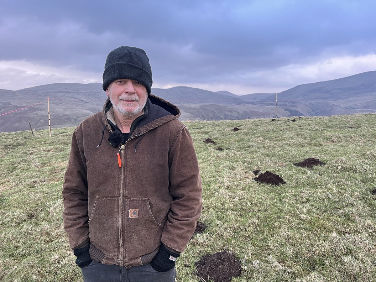 Katie Razzall tweet media